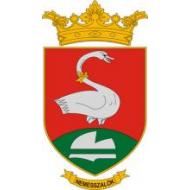 Nemesszalók Községi Könyvtár